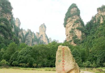 走湘西——張家界、鳳凰古城游記(一)
